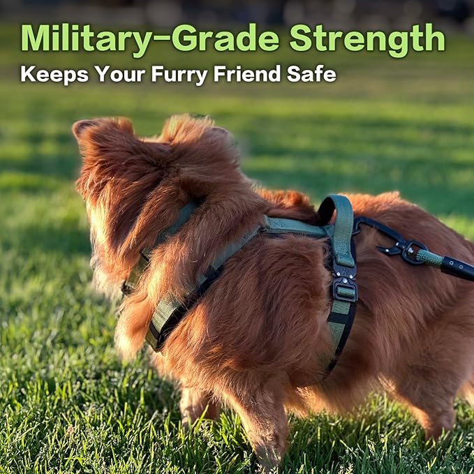 CLEPAWS Dog Harness for Medium Dogs, No Pull Dog Harness Easy Walk with Metal Hardware, Ergonomic Y-Shaped Design, Soft Padding, Padded Handle, Durable High-Tensile Nylon (Evergreen, M)-Mewly Pet