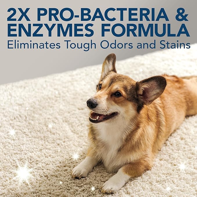 Simple Solution Stain & Odor Eliminator for Pets, Carpet Deodorizer, Enzyme Pet Odor Eliminator for Home, Stain Remover for Cat & Dog Pee, Urine Destroyer, Carpet Cleaner Spray, Gallon-Mewly Pet
