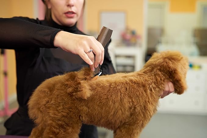 WAHL Professional Animal Bravura Lithium Ion Clipper - Pet, Dog, Cat, and Horse Corded/Cordless Clipper Kit, Gunmetal (41870-0425)-Mewly Pet