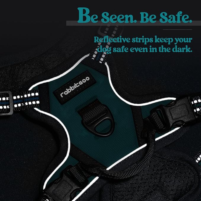 rabbitgoo Dog Harness No Pull with 2 Leash Clips, Adjustable Soft Padded, Reflective Oxford No Choke Pet Vest with Easy Control Handle for Puppy, Blue Coral, XS-Mewly Pet