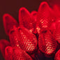 Wintergreen Lighting 25 C7 Red LED Christmas Lights, 17 Ft – Indoor Outdoor Red C7 String Lights for Christmas, Valentine’s Day, and Party Decor