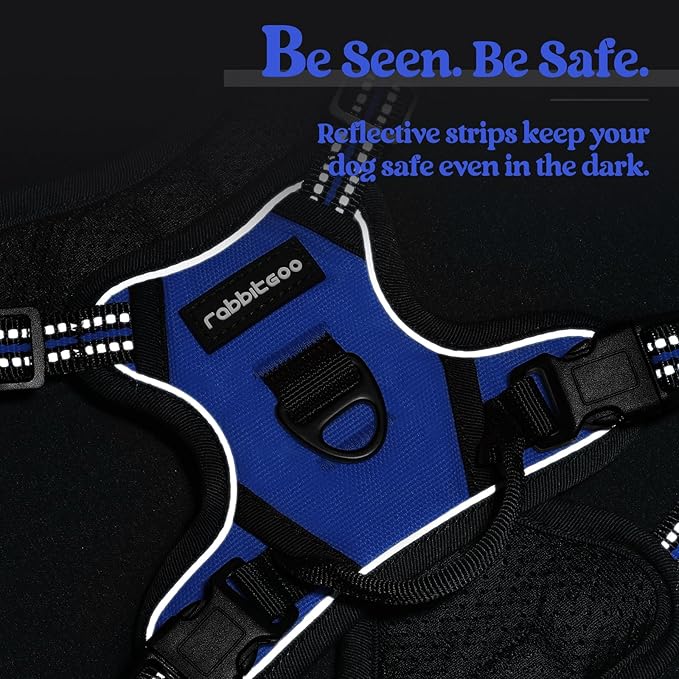 rabbitgoo Dog Harness No Pull with 2 Leash Clips, Adjustable Soft Padded, Reflective Oxford No Choke Pet Vest with Easy Control Handle for Puppy, Dazzling Blue,XS-Mewly Pet