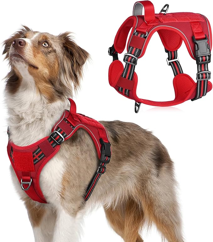 rabbitgoo Tactical Dog Harness Medium Sized Dog, No Pull Military Service Vest with Handle & Molle, Easy Control for Training Walking, Adjustable Reflective Straps, Red, M-Mewly Pet