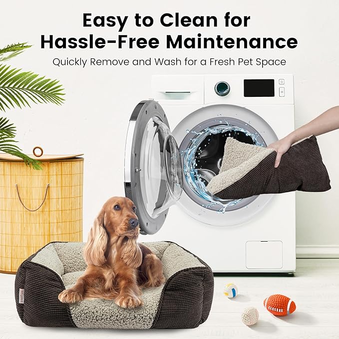 Miguel Washable Cat Beds for Indoor Cats, Easy to Wash Small Pet Sofa with Removable Cushion, Rectangle Bolster Kitten Bed with Anti-Slip Bottom, Brown 18 Inch-Mewly Pet