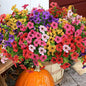 Artificial Flowers for Outdoor, UV Resistant Fake Silk Flowers, Realistic Faux Plants for Outside Indoor Porch Patio Window Box Planter Home Decor (20, Yellow Purple Rosy Pink Red)
