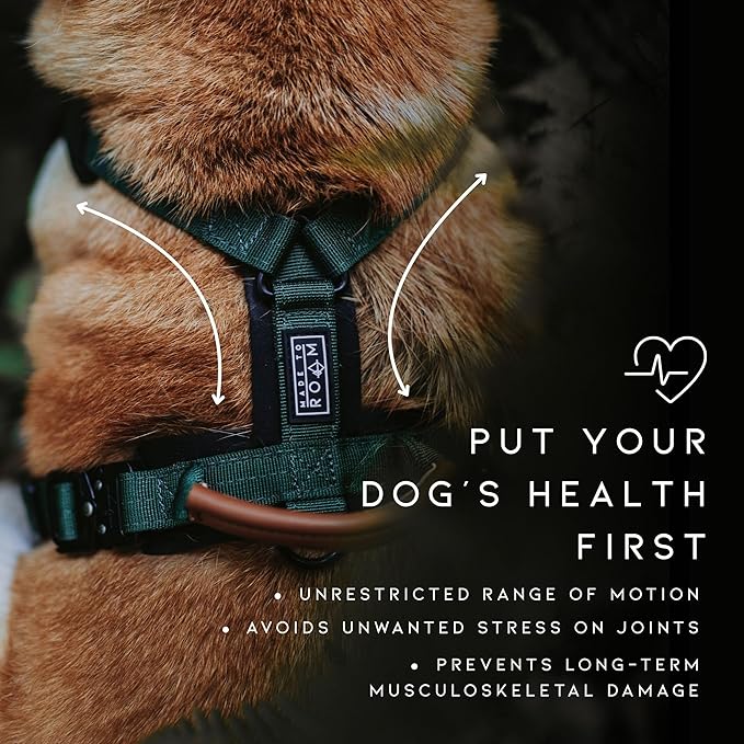 MADE TO ROAM Premium Explorer Harness - Y-Shaped Dog Harness with Adjustable Durable Nylon, Soft Padding, Metal Buckles and Leather Handle for Small, Medium, Large Dogs (Nevada Evening, Size 6)-Mewly Pet
