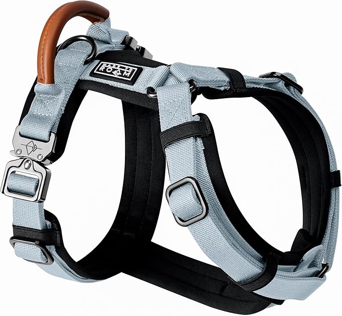 MADE TO ROAM Premium Explorer Harness - Y-Shaped Dog Harness with Adjustable Durable Nylon, Soft Padding, Metal Buckles and Leather Handle for Small, Medium, Large Dogs (Alaska Daybreak, Size 6)-Mewly Pet