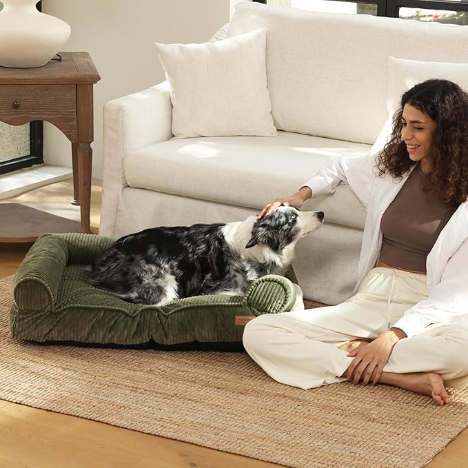 FUKUMARU Cute Dog Bed, Fluffy Dogs Couch with TPU Layer Keeping Lining Dry, Pet Sofa Medium Size Dog Easy to Care, Warm Cat Bed with Removable Zipper Cover, 36inch, Large, Green-Mewly Pet