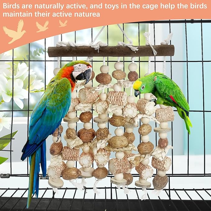 PINVNBY Large Parrot Toys Natural Nuts Corn Cob Wooden Chewing Tearing Toy for African Grey Macaws Amazon Cockatoos Eclectus Conures Cockatiels Cockatoo and Large Medium Birds (Natural)-Mewly Pet