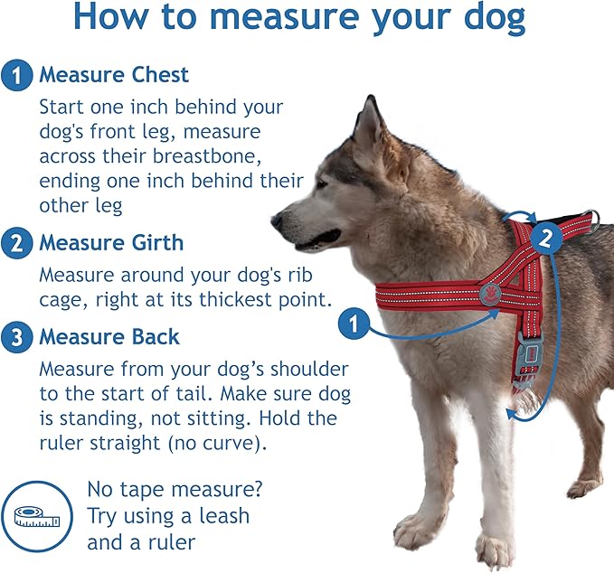 DOCO No-Pull Dog Harness Halter Reflective Easy-Control Harness for Training, Walking, and Preventing Pulling, Ideal for Medium Dogs(Red)-Mewly Pet