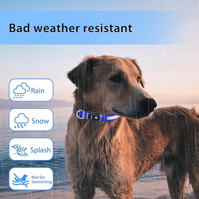 PcEoTllar Light up Dog Collar for Night Walking - LED Dog Collar Light Rechargeable Color Changing, Glow in The Dark Dog Collars Waterproof Glowing Dog Collars for Large Small Medium Dogs-Mewly Pet