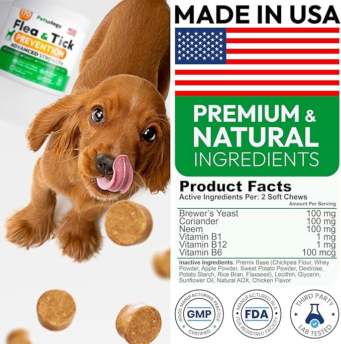 (2 Pack) Flea and Tick Prevention for Dogs Pills - 340 Chews - Natural Dog Flea & Tick Control - Oral Defense Treatment for Dogs Supplement - Vet Formulated - All Breeds & Ages - Made in USA-Mewly Pet