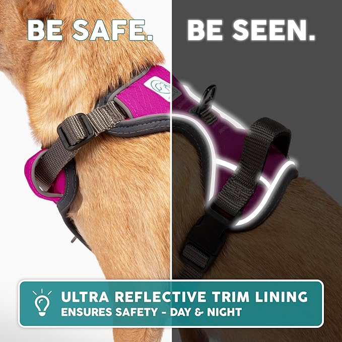 Embark Adventure Dog Harness, Reflective Trim No Pull Dog Harness for Large Dogs - Military Grade Nylon, Front Clip with Gel Lined Handle.-Mewly Pet