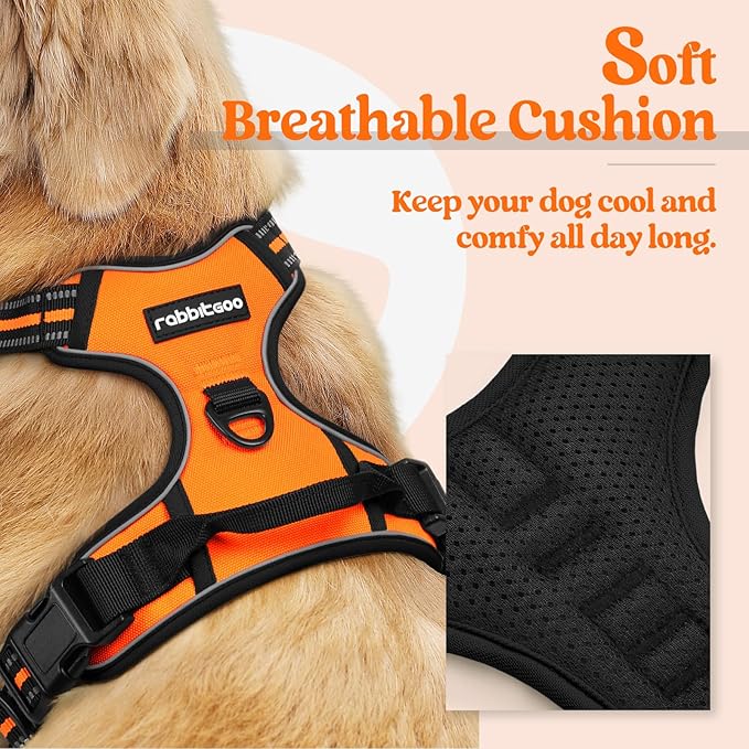 rabbitgoo Dog Harness No Pull with 2 Leash Clips, Adjustable Soft Padded, Reflective Oxford No Choke Pet Vest with Easy Control Handle for Small Dogs,Orange,S-Mewly Pet