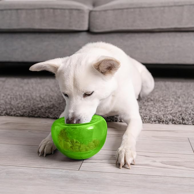 Outward Hound by Planet Dog Snoop Durable Interactive Treat Dispensing Dog Toy, Large, Green-Mewly Pet