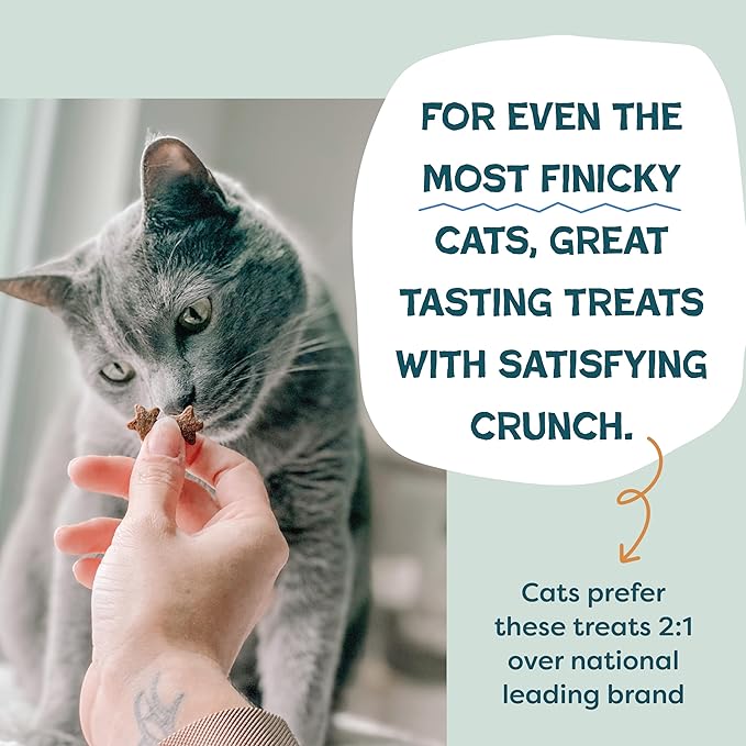 Shameless Pets Crunchy Cat Treats - Catnip Treats for Cats with Digestive Support, Kitten Treats with Real Ingredients, Natural & Healthy Flavored Feline Snacks - Catnip N Chill Chicken Liver, 12 oz-Mewly Pet