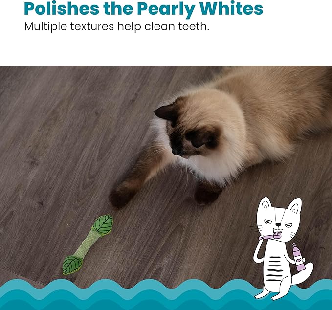 Petstages Fresh Breath Mint Stick Dental Cat Chew Toy-Mewly Pet