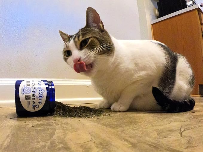 The Cat's MeWow 100% Pure Catnip - All Natural, Non-Addictive Treat for Cats & Kittens-Mewly Pet