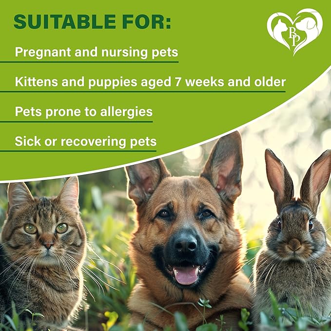 Flea and Tick Prevention for Small Dogs & Cats, Rabbits - Natural Flea Treatment & Pest Control - Topical Flea & Mosquito Repellent for Puppy and Kitten - All Pets-Mewly Pet