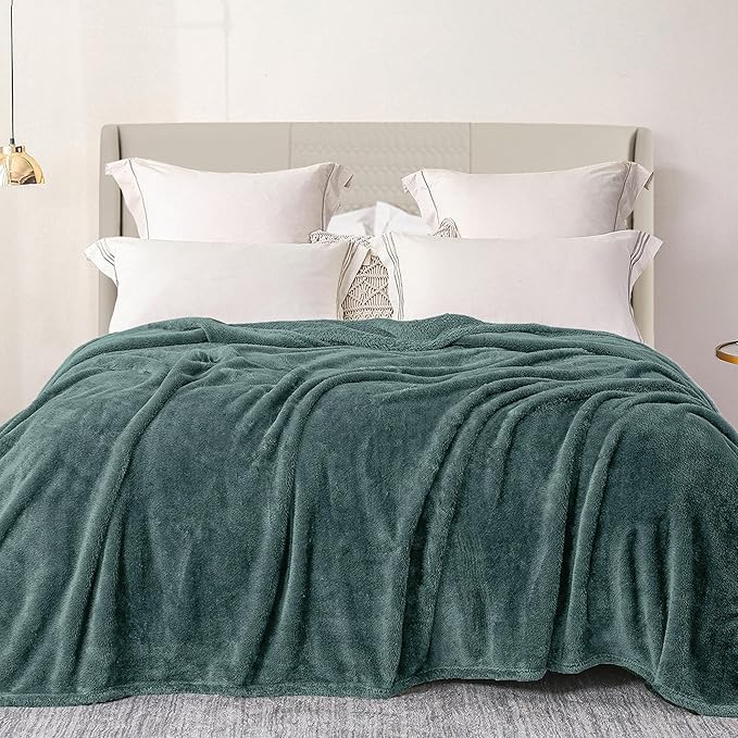 Exclusivo Mezcla Plush Fuzzy Fleece Bed Blanket Twin Size, Super Soft, Fluffy and Warm Blankets, Suitable for All Seasons (Celadon, 90x66 Inches)