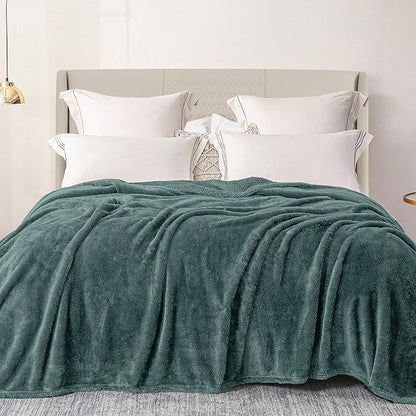 Exclusivo Mezcla Plush Fuzzy Fleece Bed Blanket King Size, Super Soft, Fluffy and Warm Blankets, Suitable for All Seasons (Celadon, 90x104 Inches)