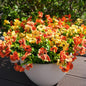 Artificial Flowers for Outdoor, UV Resistant Fake Silk Flowers, Realistic Faux Plants for Outside Indoor Porch Patio Window Box Planter Home Decor (16, Orange Yellow)