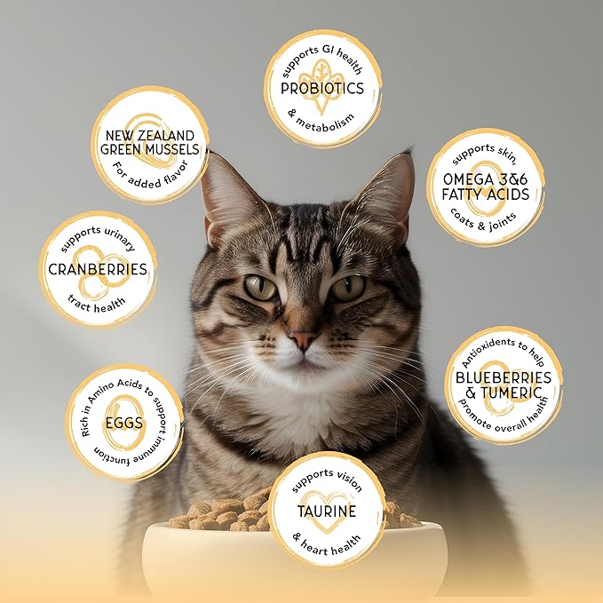 Blackwood Bounty Dry Cat Food, Chicken & Turkey Recipe for All Life Stages, 10 Pound Bag, High Protein, Grain Free-Mewly Pet