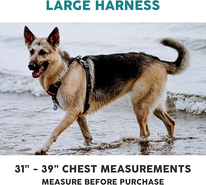 Embark Adventure Dog Harness, Reflective Trim No Pull Dog Harness for Large Dogs - Military Grade Nylon, Front Clip with Gel Lined Handle. Soft & Padded Puppy-Mewly Pet