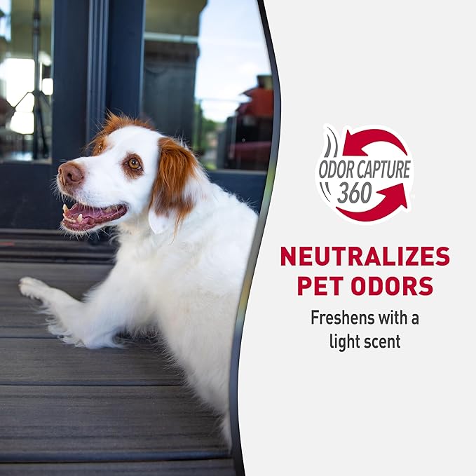 Nature’s Miracle Advanced Stain And Odor Eliminating Wipes for Hard Surfaces, 30 Count, Enzymatic Formula Eliminates Tough Pet Messes-Mewly Pet