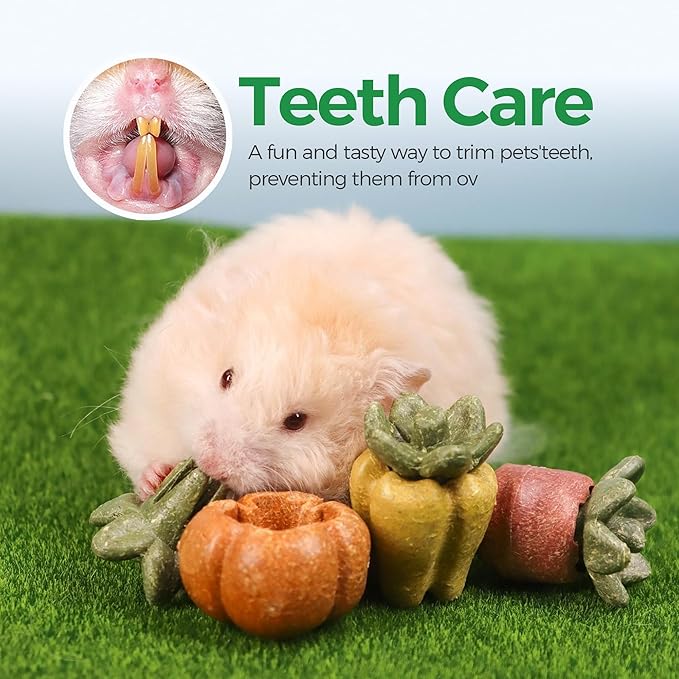 TEEWY Guinea Pig Chew Toys, Natural Vegetables and Timothy Grass, Hamster Chew Toys, Prevents Excessive Tooth Growth in Chinchillas, Gerbils, Hamsters, and Rabbits, Fruits & Vegetables Set-Mewly Pet