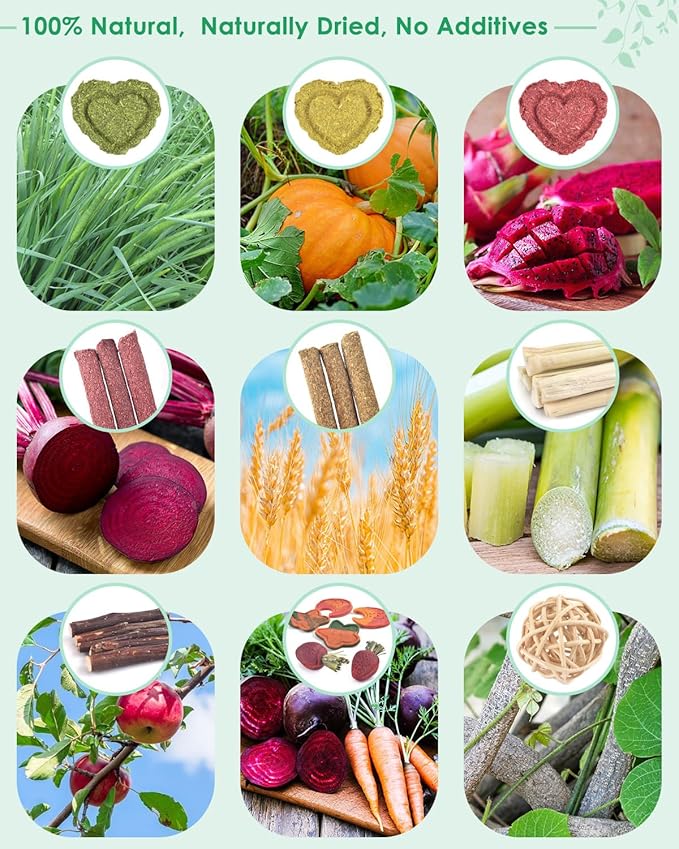 ERKOON 33PCS Bunny Chew Toys for Rabbits Teeth, Natural Rabbit Toys Apple Wood Sticks, Carrot, Timothy Grass Toys for Small Pets, Hamster, Chinchilla, Guinea Pig Dental Care and Treat Teething Toys-Mewly Pet