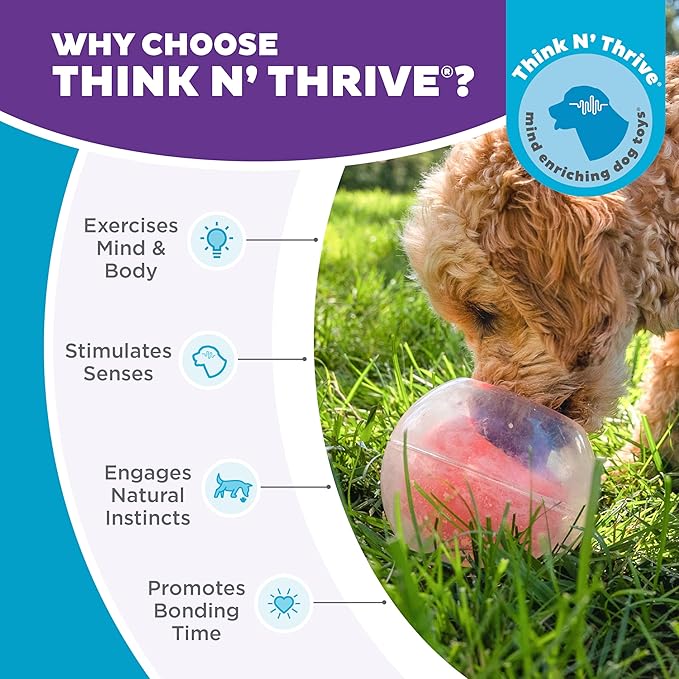 Outward Hound Nina Ottosson Topsy Treat Ball Dog Puzzle Interactive Treat Puzzle Dog Enrichment Dog Toy, Level 1 Beginner, Orange-Mewly Pet