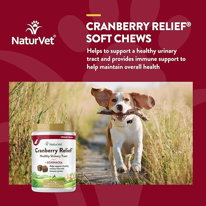 NaturVet – Cranberry Relief Plus Echinacea – Helps Support a Healthy Urinary Tract & Immune System – 120 Soft Chews-Mewly Pet