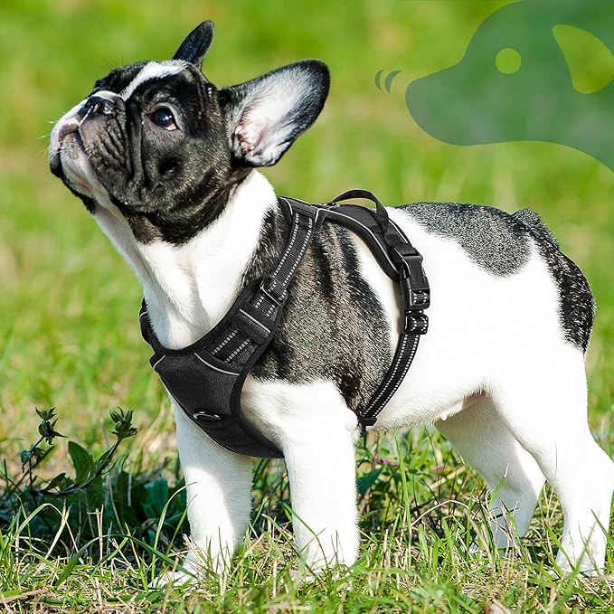 Eagloo Dog Harness Small Sized Dog, No Pull Service Vest with Reflective Strips and Control Handle, Adjustable and Comfortable for Easy Walking, No Choke Pet Harness with 2 Metal Rings, Black, S-Mewly Pet