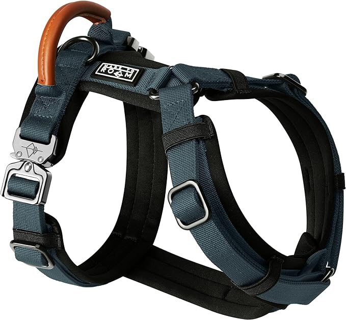 MADE TO ROAM Premium Explorer Harness - Y-Shaped Dog Harness with Adjustable Durable Nylon, Soft Padding, Metal Buckles and Leather Handle for Small, Medium, Large Dogs (Colorado Nightsky, Size 6)-Mewly Pet