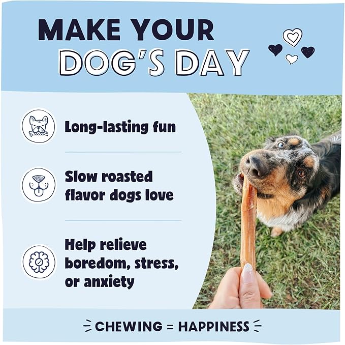 Pawstruck All-Natural 7" Bully Sticks for Dogs - Long Lasting, Rawhide-Free, Low Odor & Grain-Free Dental Chew Treat - Healthy Single Ingredient, 100% Real Beef - 1 lb Bag-Mewly Pet