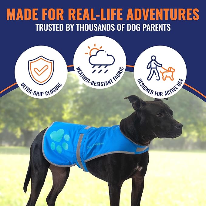 Dog Reflective Vest – Hi-Vis Fluorescent Visibility That Helps to Safeguard Your Pet On/Off Leash in Urban & Rural Areas (Blue, Small)-Mewly Pet