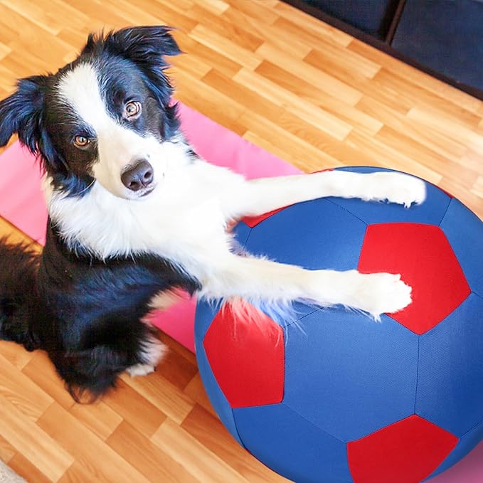 Herding Ball for Dogs & Horses - 20" Ball with Hand Pump - Blue & Red-Mewly Pet