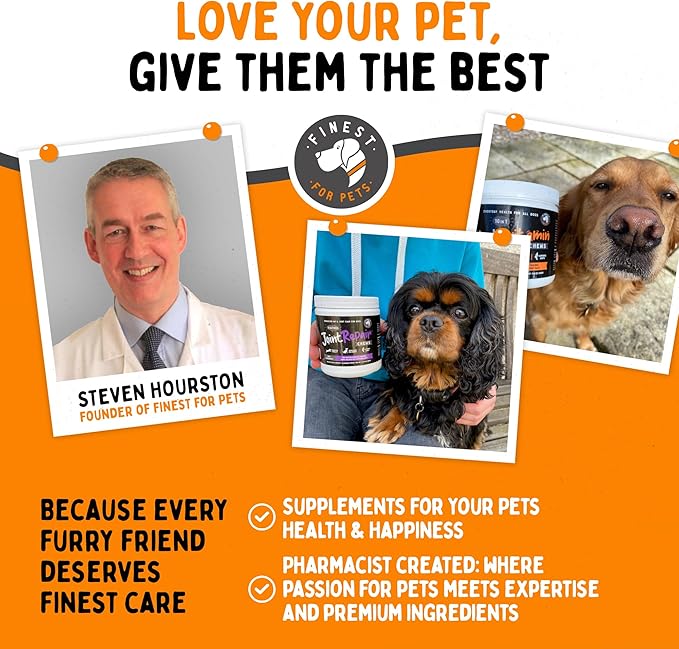 Multivitamin Dog Supplement – 10 in 1 with Omega Fish Oil & Glucosamine for Improved Joint & Skin Support, Gut, Digestion & Immune Everyday Health (120 Chewable Treats)-Mewly Pet