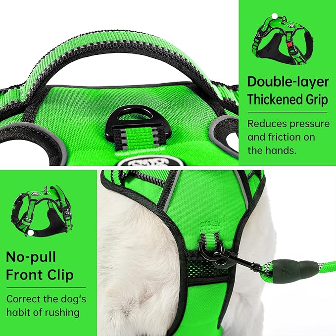 IVY&LANE No Pull Dog Harness for Small Dogs, Dog Vest Harness with Leash, Safety Belt and Storage Strap, Fully Adjustable Harness, 360° Reflective Strip, Soft Handle (Green,S)-Mewly Pet