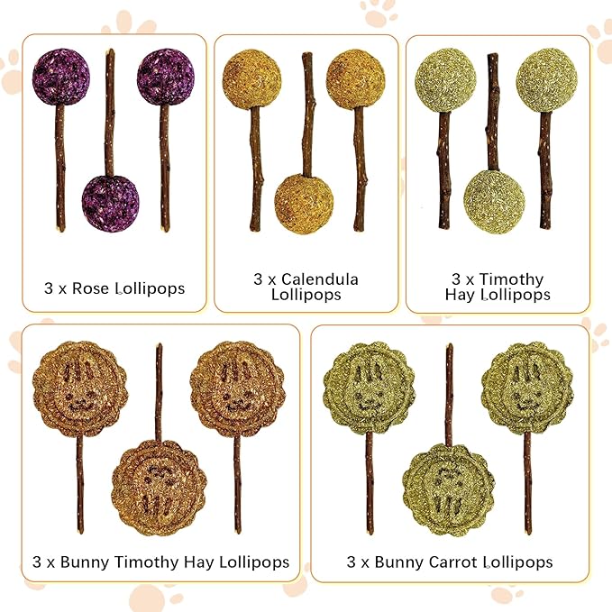 Fhiny Rabbit Chew Toys, 15 PCS Natural Bunny Lollipop Chew Sticks Handmade Guinea Pig Molar Treats for Teeth Small Animals Snacks for Guinea Pig Bunny Chinchilla Hamster Gerbil Teeth Care-Mewly Pet