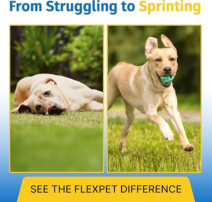 Hip & Joint Supplement for Dogs & Cats with Cetyl Myristoleate, Glucosamine, Collagen, MSM - Advanced Joint Support for Mobility, Senior Pets, Small & Large Breeds - 60 Chews (Pork Liver)-Mewly Pet