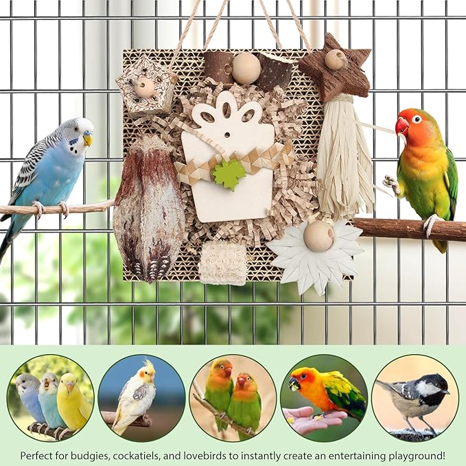 Kyouki Bird Toys, Parakeet Toys, Parrot Toy, Conure Hanging Chewable Cardboard Foraging Suitable for Budgies, Cockatiels, Lovebirds, Sun Conures - and Other Small/Medium Parrots (Medium)-Mewly Pet