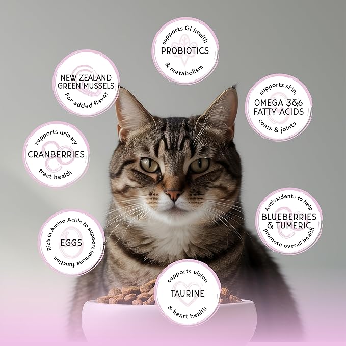 Blackwood Bounty Dry Cat Food, Red Meat Recipe for All Life Stages, 4.5 Pound Bag, High Protein, Grain Free-Mewly Pet