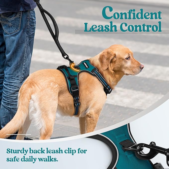 rabbitgoo Dog Harness No Pull with 2 Leash Clips, Adjustable Soft Padded, Reflective Oxford No Choke Pet Vest with Easy Control Handle for Medium Sized Dogs, Blue Coral, M-Mewly Pet