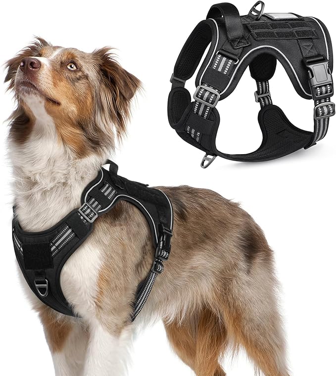 rabbitgoo Dog Harness No Pull, Military Dog Harness Medium Sized Dog with Handle & Molle, Easy Control Service Dog Vest Harness Training Walking, Adjustable Reflective Tactical Pet Harness, Black, M-Mewly Pet