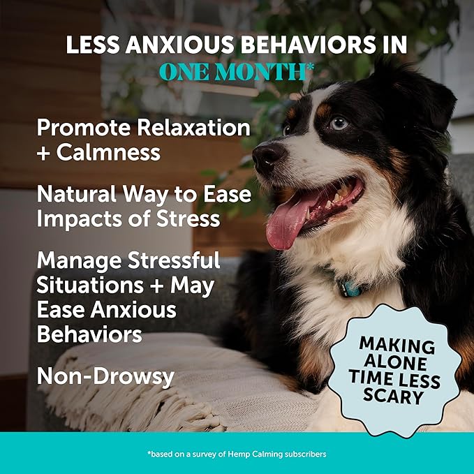 Hemp Calming Chews for Dogs - Dog Anxiety Relief, Dog Calming Treats with Hemp + Valerian Root, Melatonin for Dogs - Helps Aid with Thunder, Fireworks, Chewing & Barking (Chicken 180 ct)-Mewly Pet