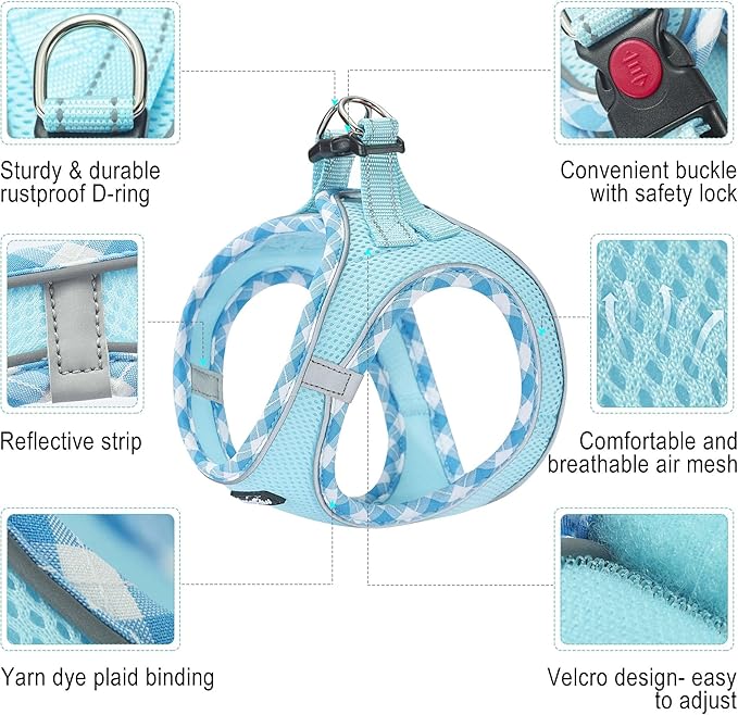 haapaw Dog Harness with Leash Set, No Pull Adjustable Reflective Step-in Puppy Harness with Thickened Padded Vest for Extra-Small/Small Medium Dogs-Mewly Pet