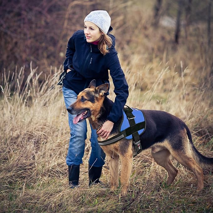 Dogline Dog Harness, Reflective No-Pull Adjustable Vest with Handle for Walking, Training, Breathable, No - Choke Harness for Small, Medium or Large Dogs Room for Patches Girth 15 to 18 in Cyan Blue-Mewly Pet