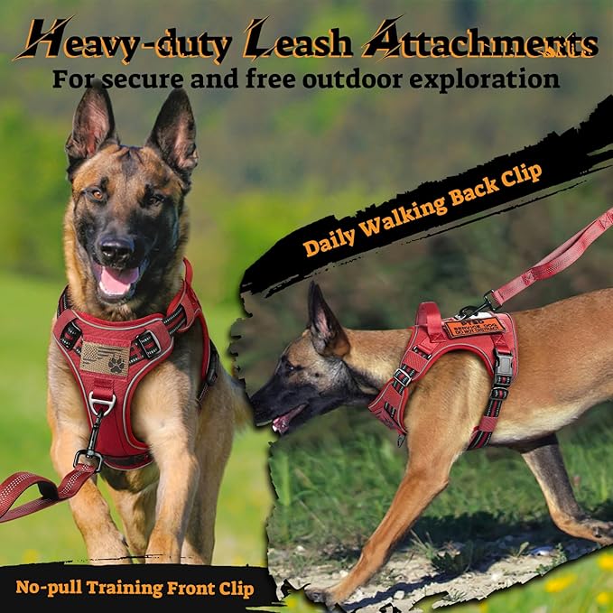 rabbitgoo Dog Harness Small Sized No Pull, Tactical Service Pet Vest with Molle and Control Handle, Adjustable and Reflective Military Harness for Easy Walking and Training, Red, S-Mewly Pet